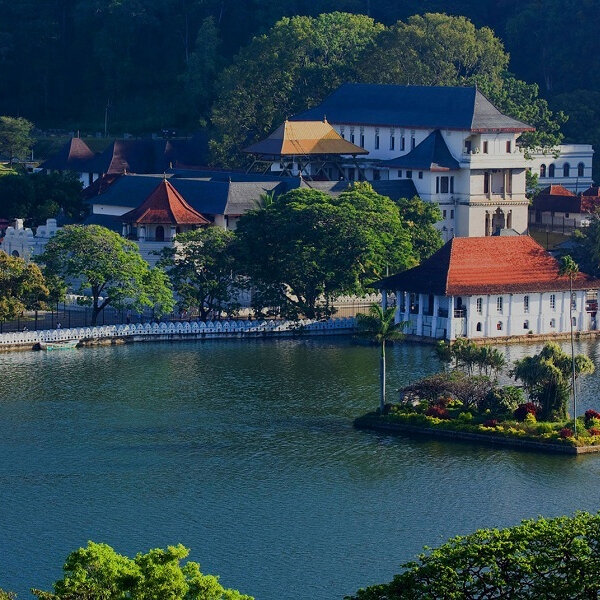 Sri Lanka Delight.jpg